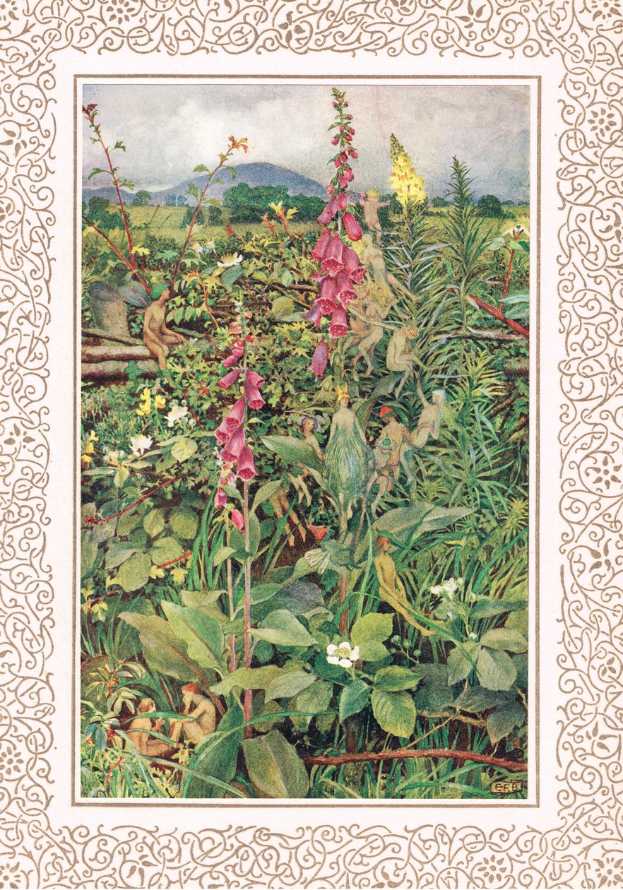 Naues Fairies entre Foxgloves, ilustração de 