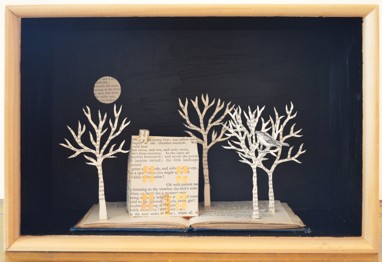 Caixa de luz de casa de campo, 2012 (técnica mista) de Eleanor Grafton