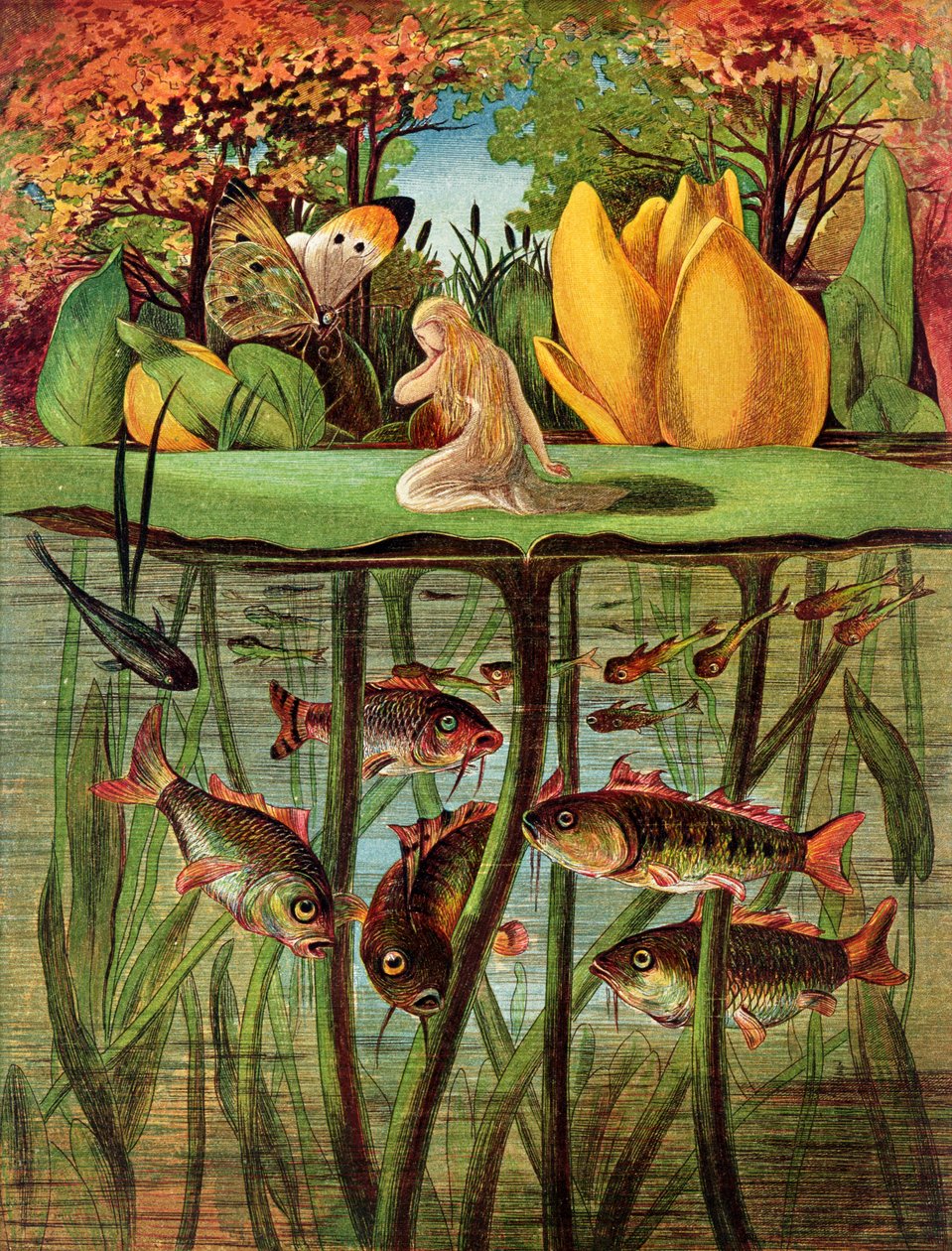 Tommelise muito desolado na folha de nenúfar, em &39;Thumbkinetta&39; de contos de fadas de Hans Christian Andersen, 1872 de Eleanor Vere Boyle