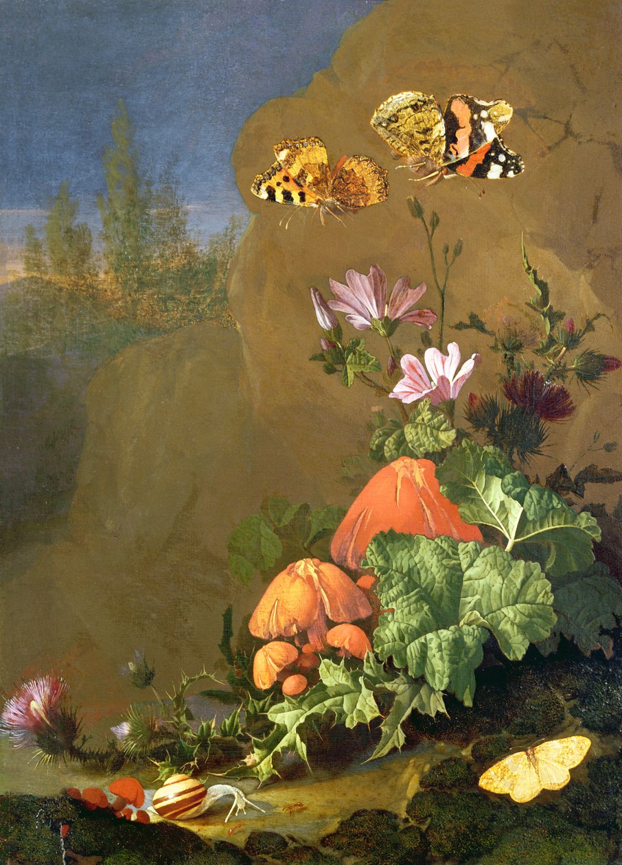 Ainda vida de chão de floresta com flores, cogumelos e caracóis de Elias van den Broeck
