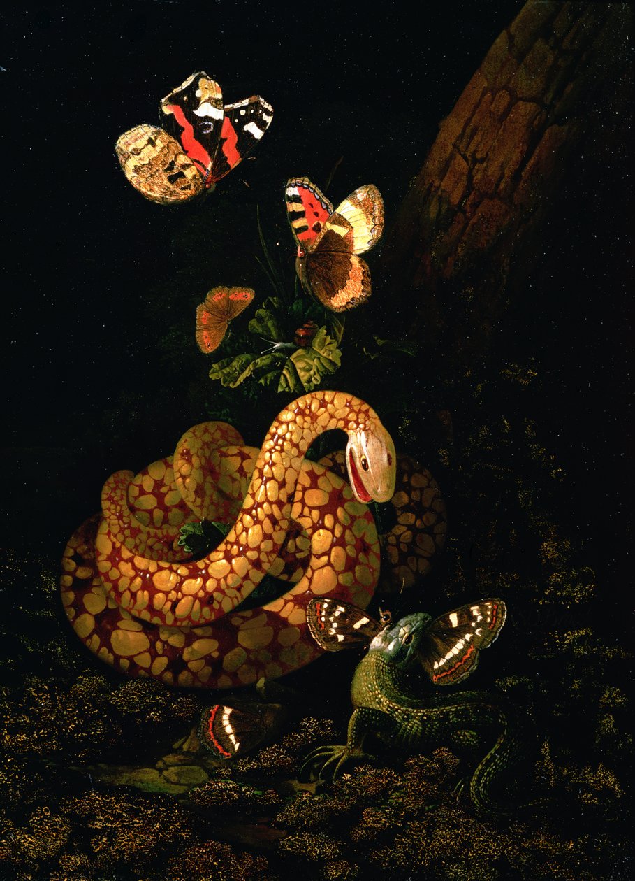 Ainda vida com cobra de Elias van den Broeck