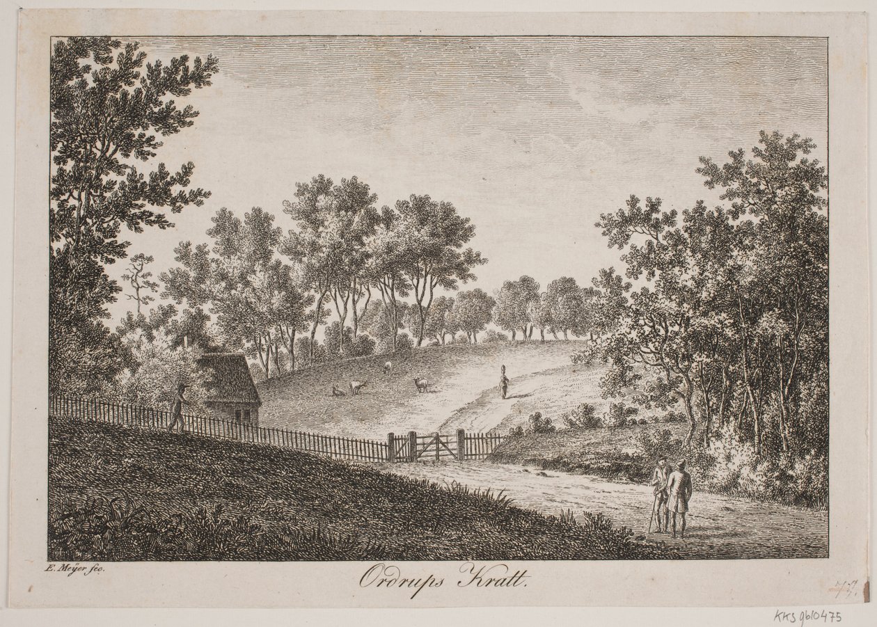 esfoliante de Ordrup de Elias Meyer