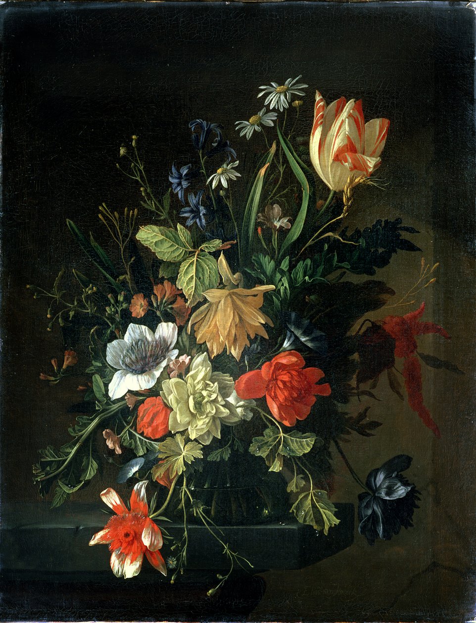 Imagem desconhecida de Elias van den Broeck