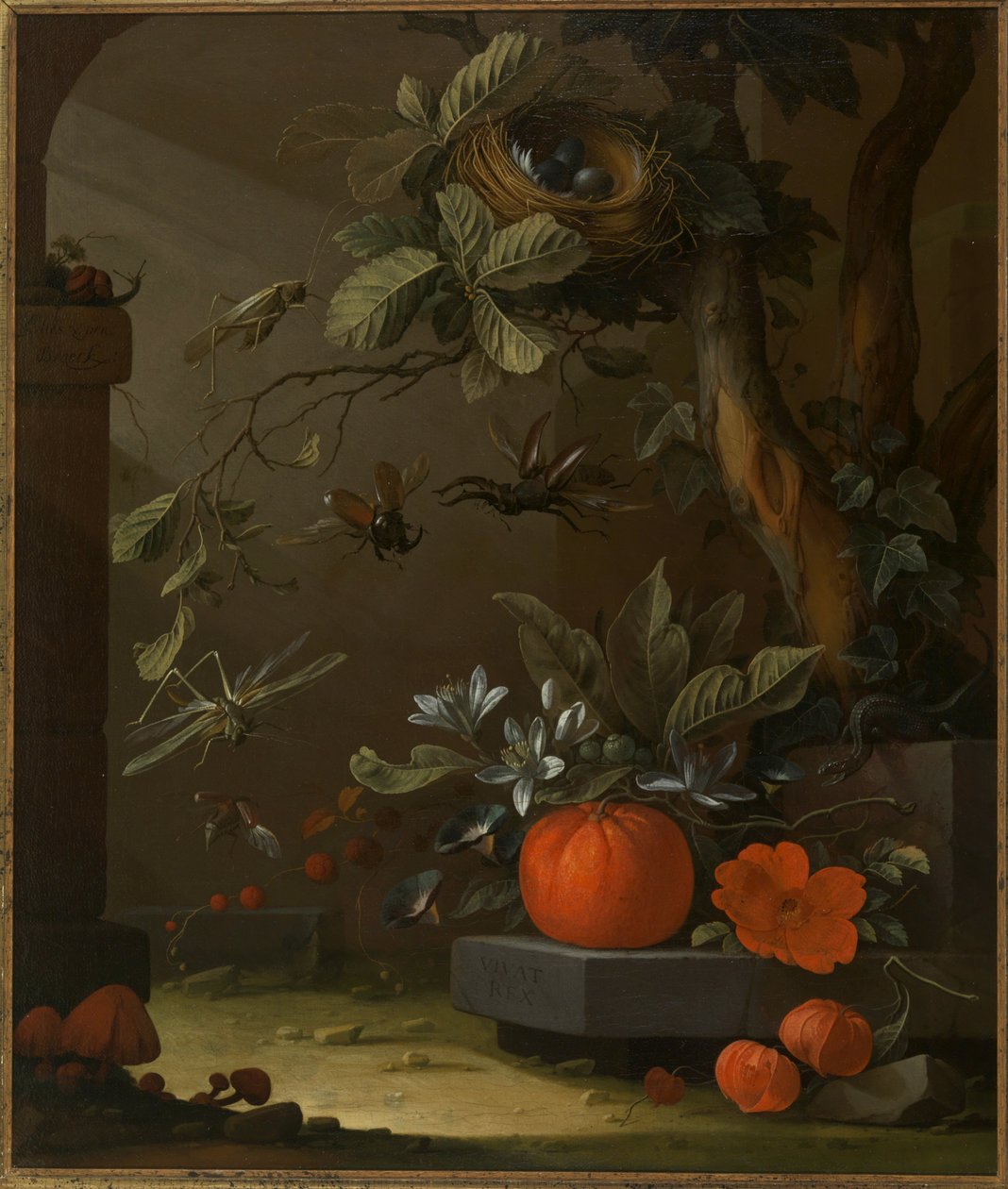 Vivat Rex de Elias van den Broeck