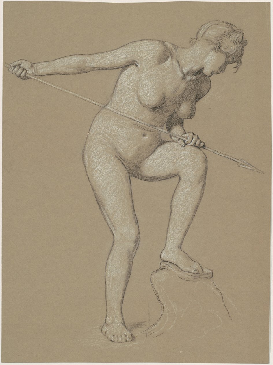 Golfinho Lançador de Garota de Elihu Vedder