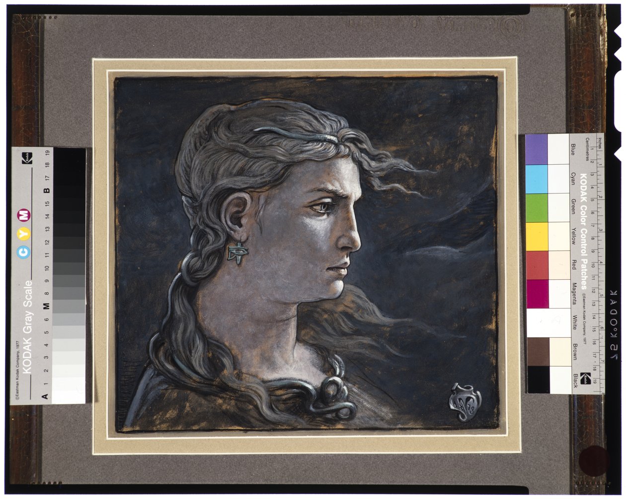 Chefe da Medusa, 1878 de Elihu Vedder
