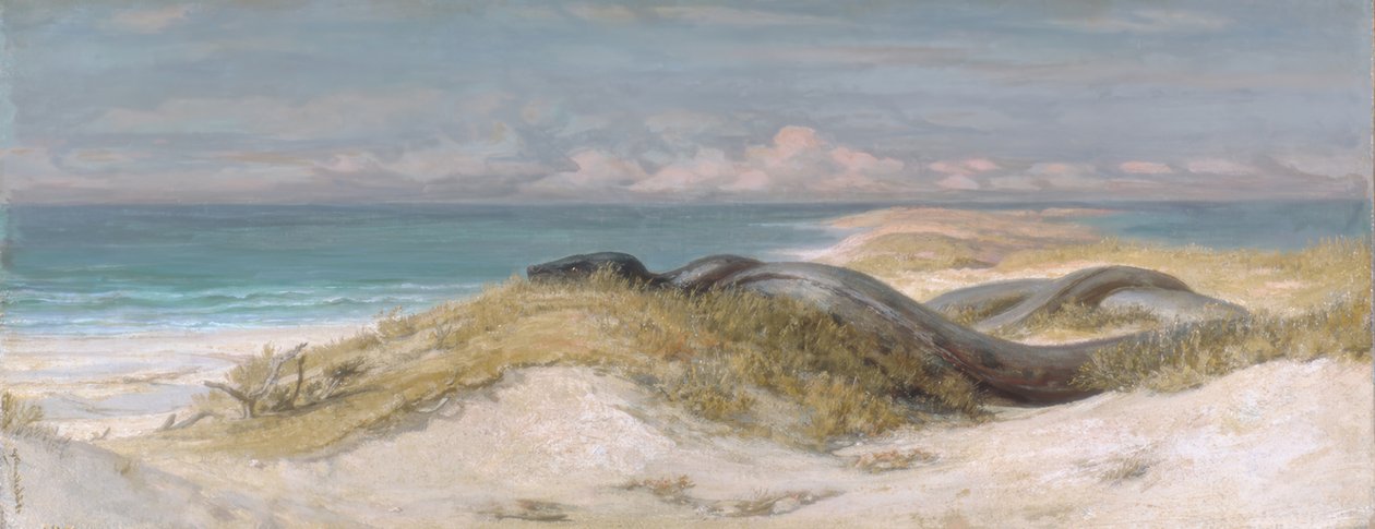 Caverna da Serpente do Mar de Elihu Vedder