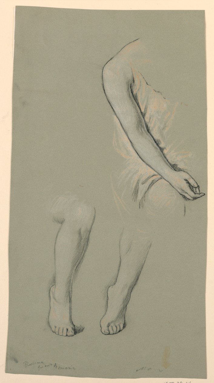 Estudo de um modelo de Elihu Vedder