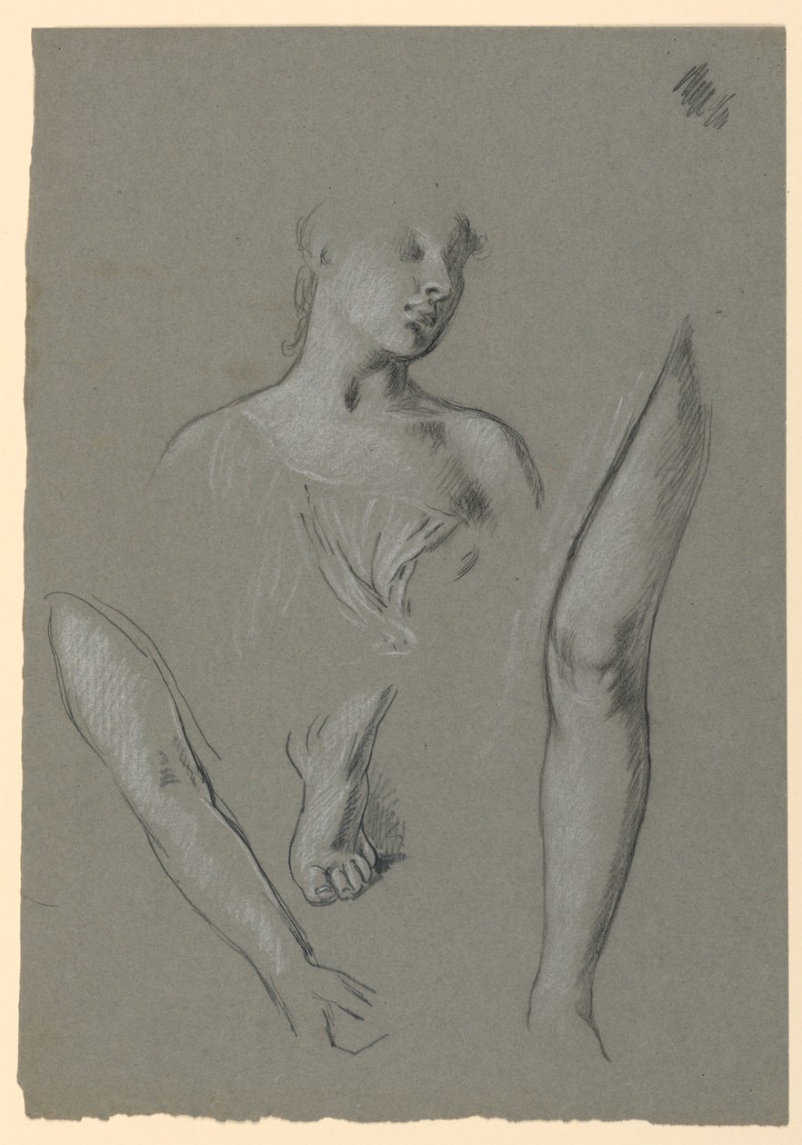 detalhes de estudos de figuras de Elihu Vedder