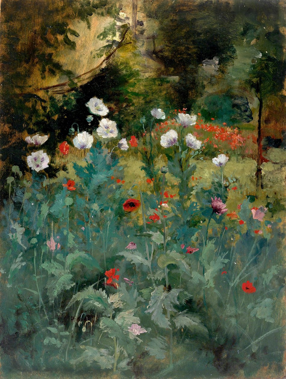 Papoilas de Eliphalet Fraser Andrews
