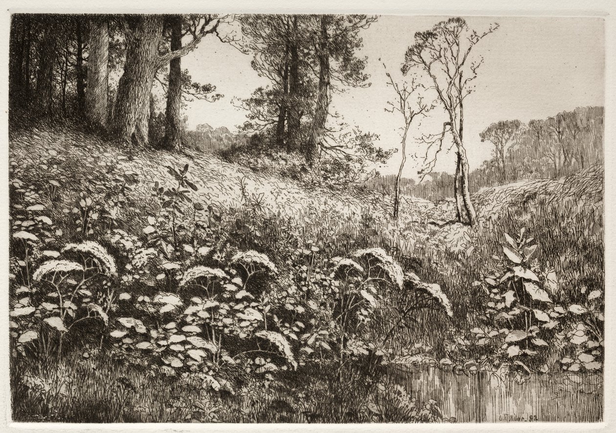 Uma tarde de verão de Elis F. Miller