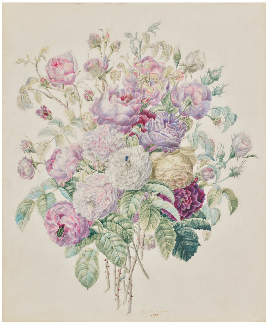 Um ramo de rosas Bourbon de Elisa Emilie Lemire