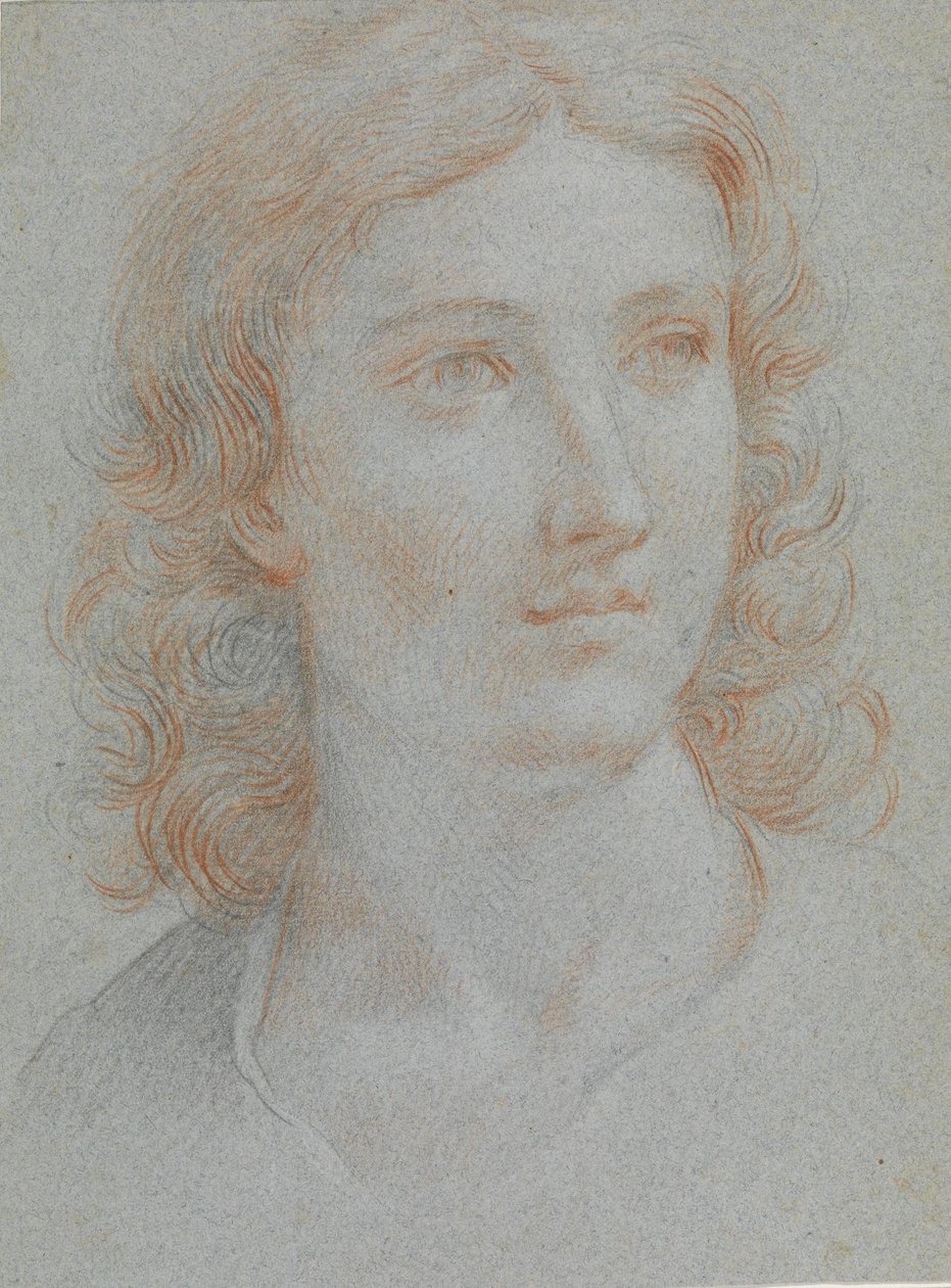 Cabeça de um jovem de Elisabetta Sirani