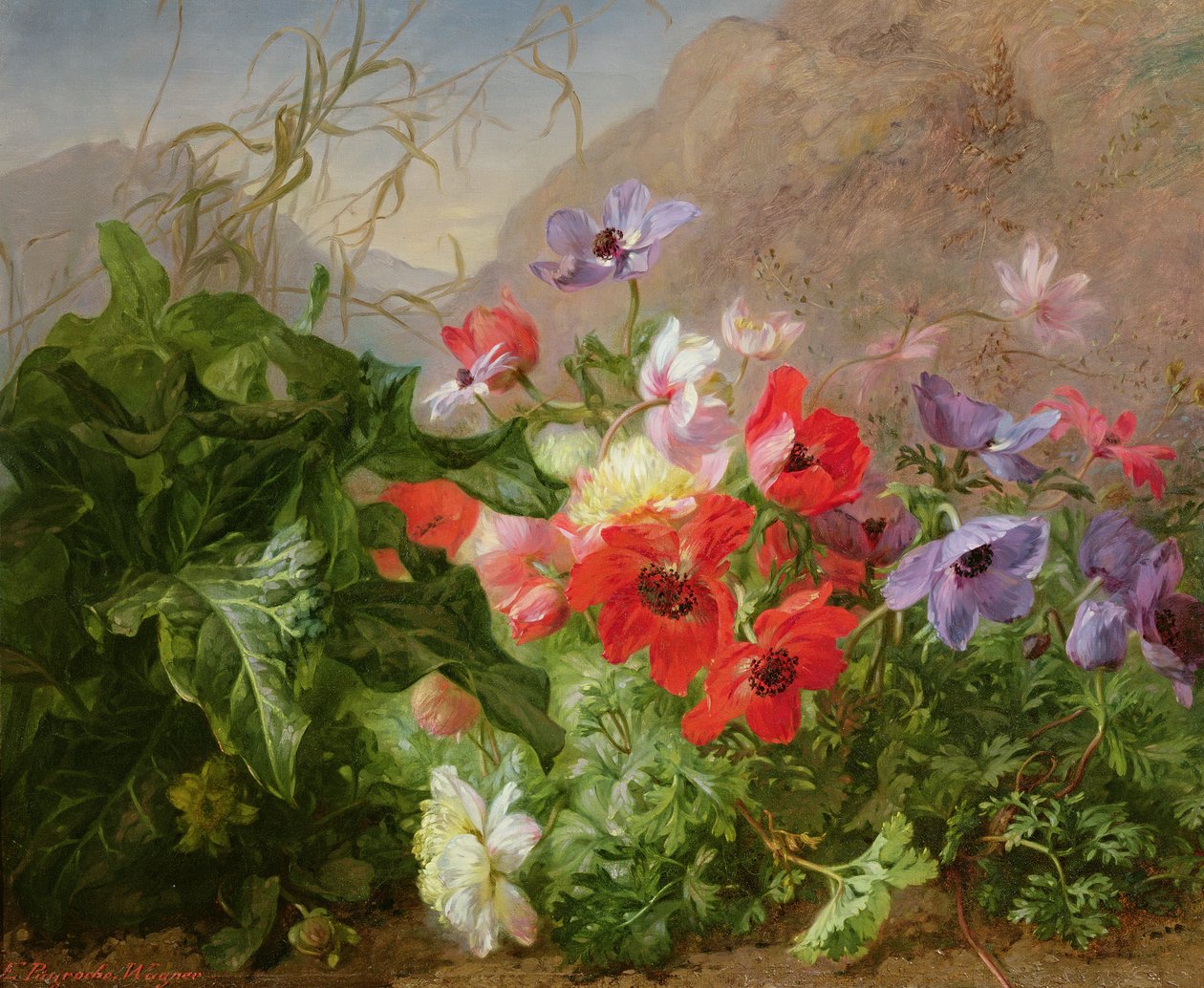 Ainda vida de anêmonas em vegetação rasteira de Elise Puyroche Wagner