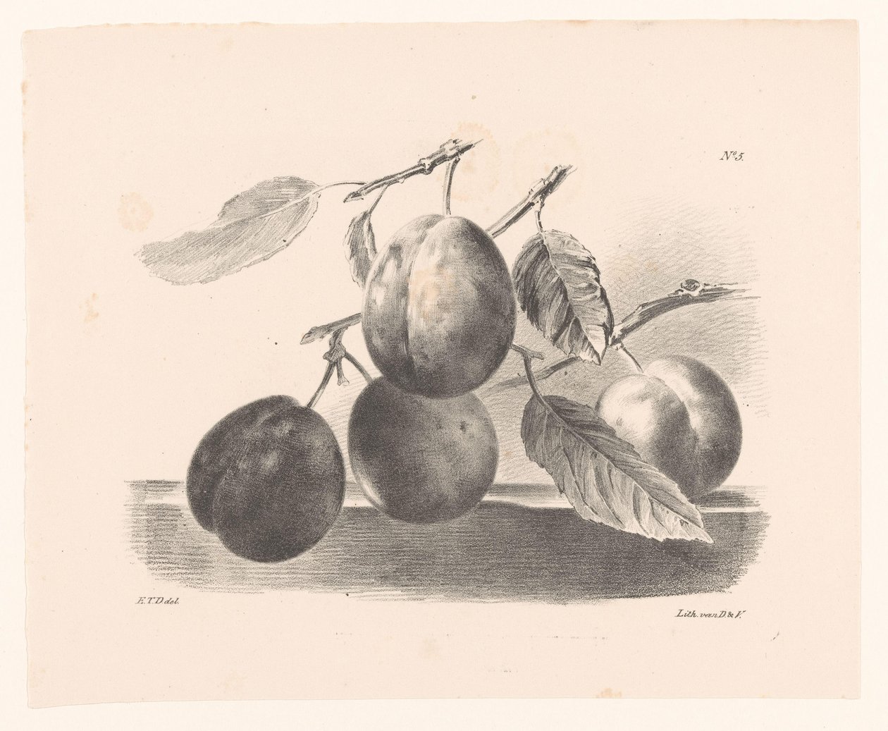 Pruimen aan takeken Princípios de Uso de Flores e Frutas para Iniciantes (título da série) de Elise Therèse Daiwaille