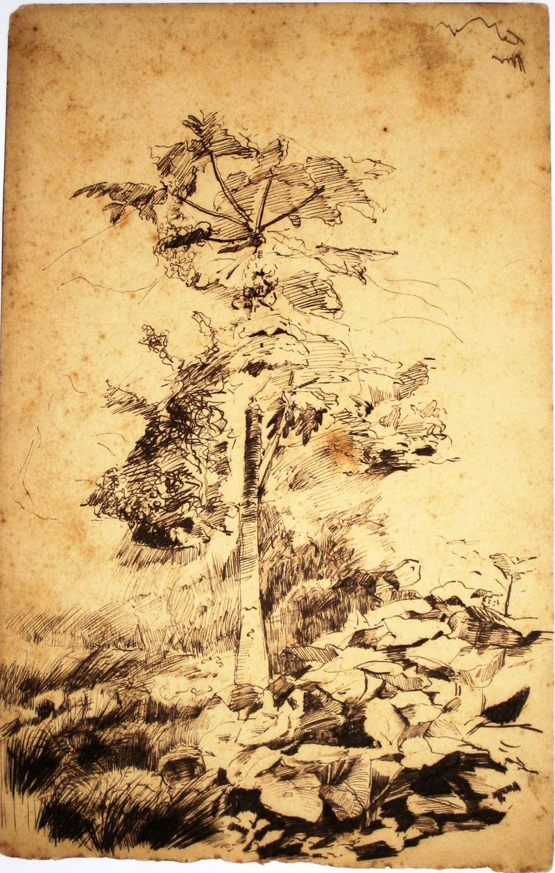 Árvore de mamão de Eliseu Visconti