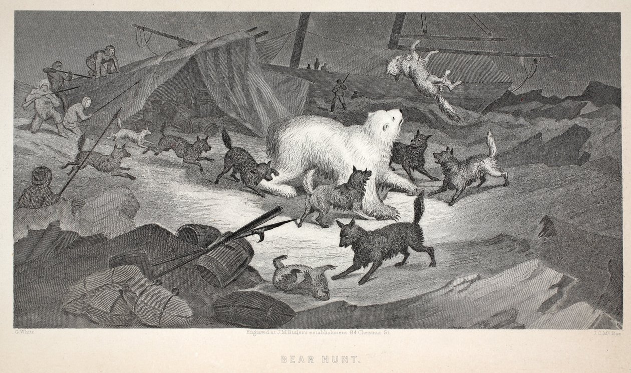 Caça ao urso, ilustração de "A segunda expedição Grinnell em busca de Sir John Franklin ...", 1856 de Elisha Kane
