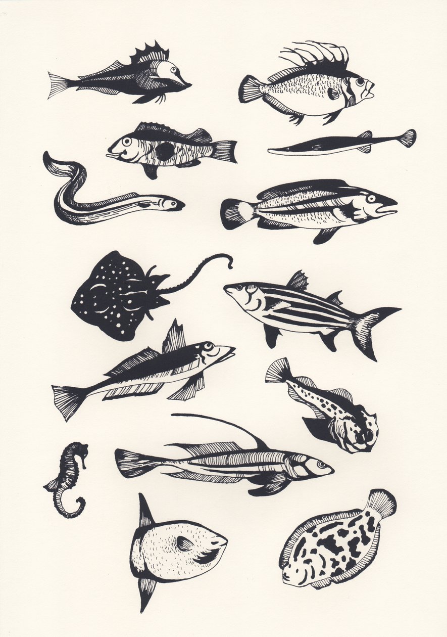 Peixe Comum Monótono, 2015 (papel de parede) de Eliza Southwood