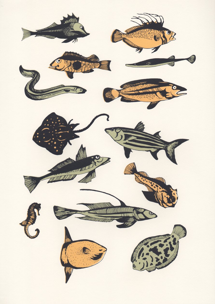 Planície Peixe, 2015 (papel de parede) de Eliza Southwood