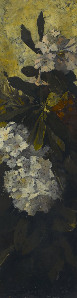 Rododendros de Elizabeth Boott Duveneck
