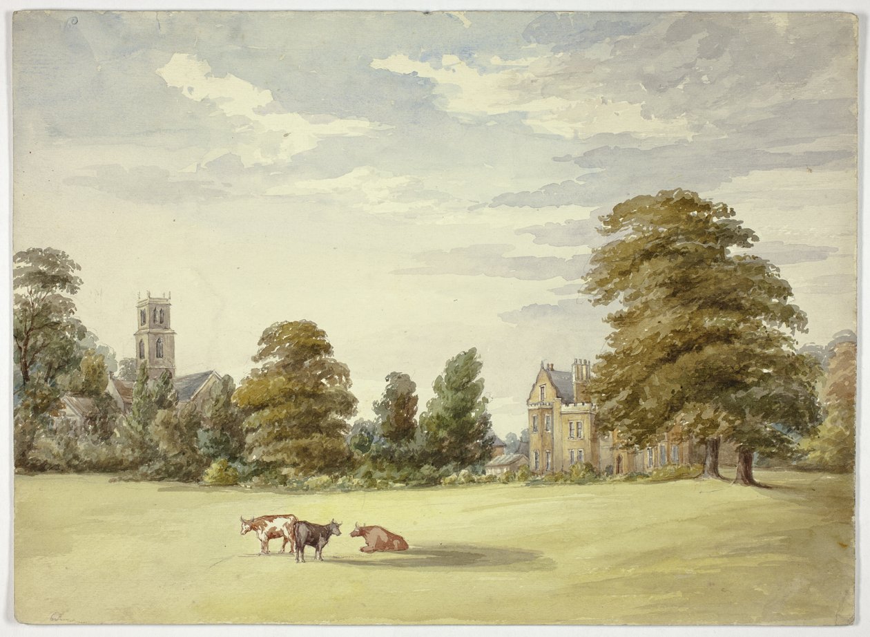Vacas antes da mansão e da igreja de Elizabeth Murray