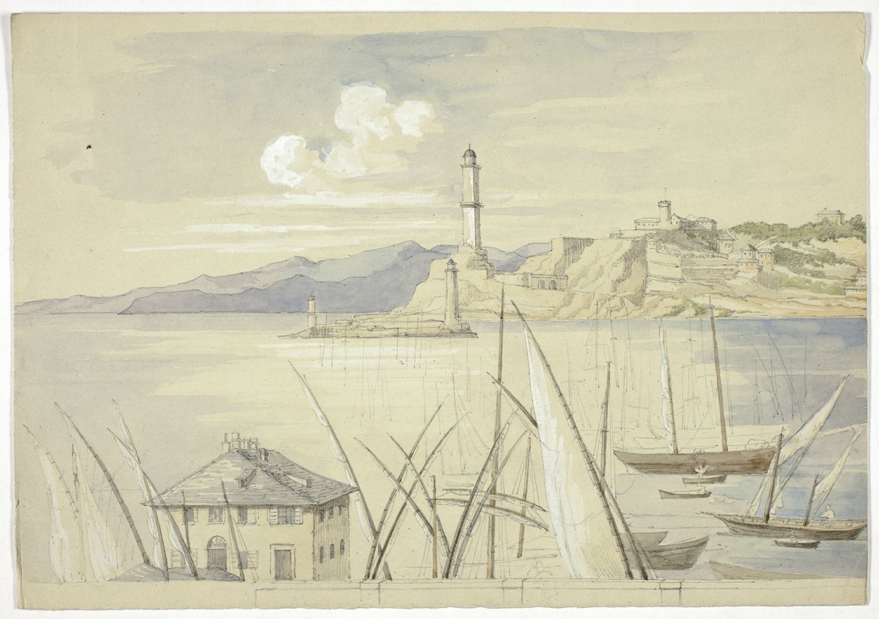 Génova da Cruz de Malta de Elizabeth Murray