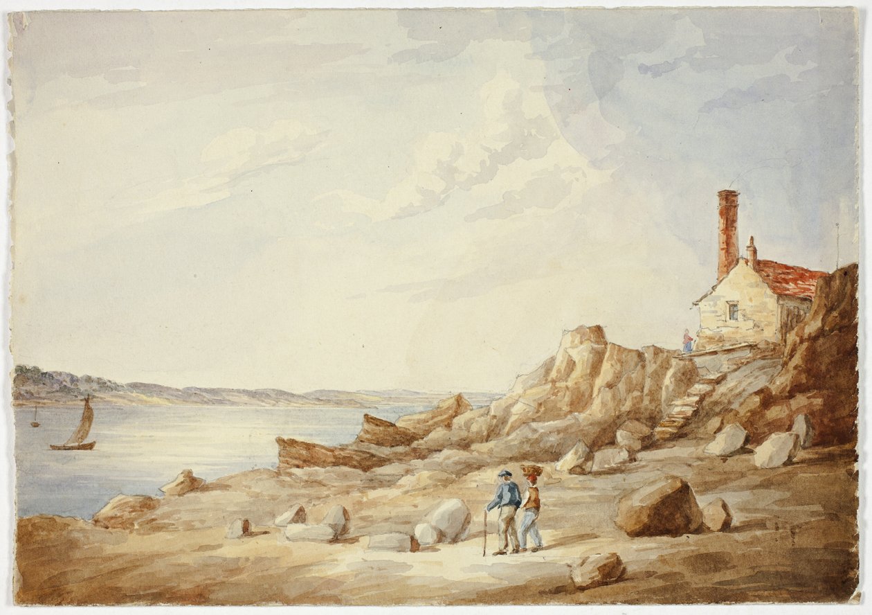 Costa rochosa de Elizabeth Murray