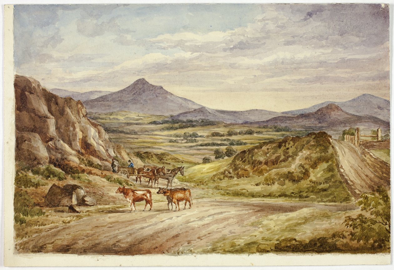 Wicklow Hills de Elizabeth Murray