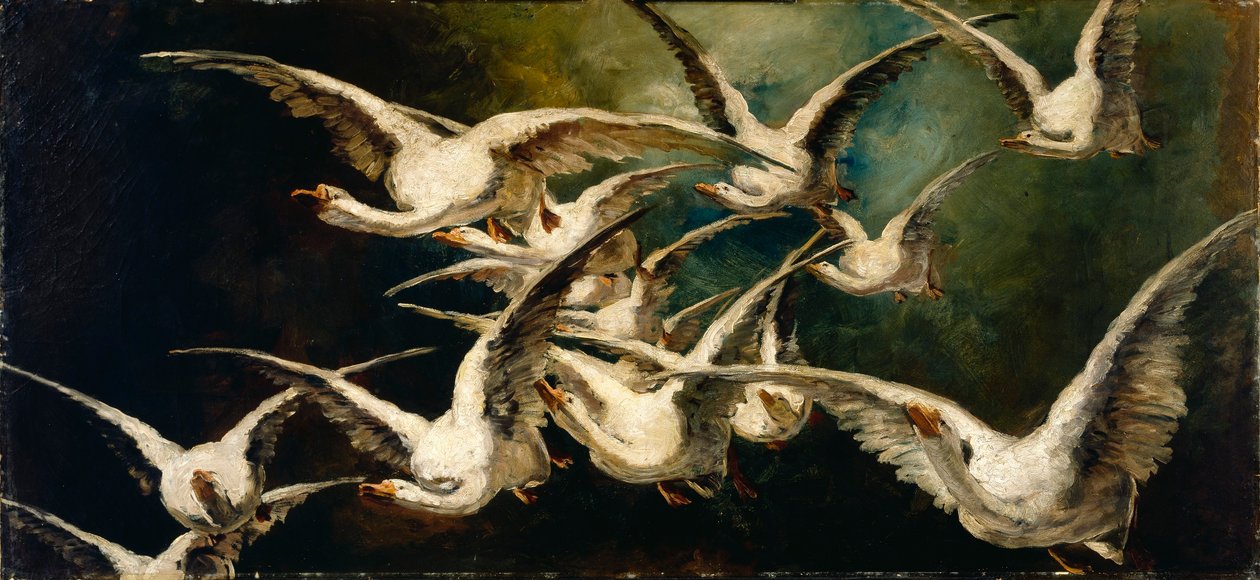 Bando de gansos de Elizabeth Nourse