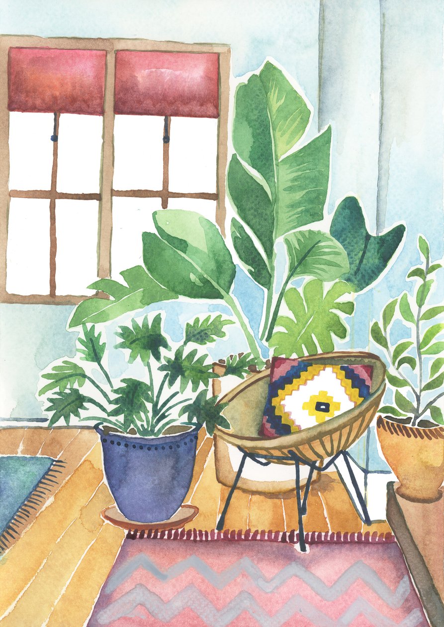 Plantas de casa, 2018 (aguarela) de Elizabeth Rider