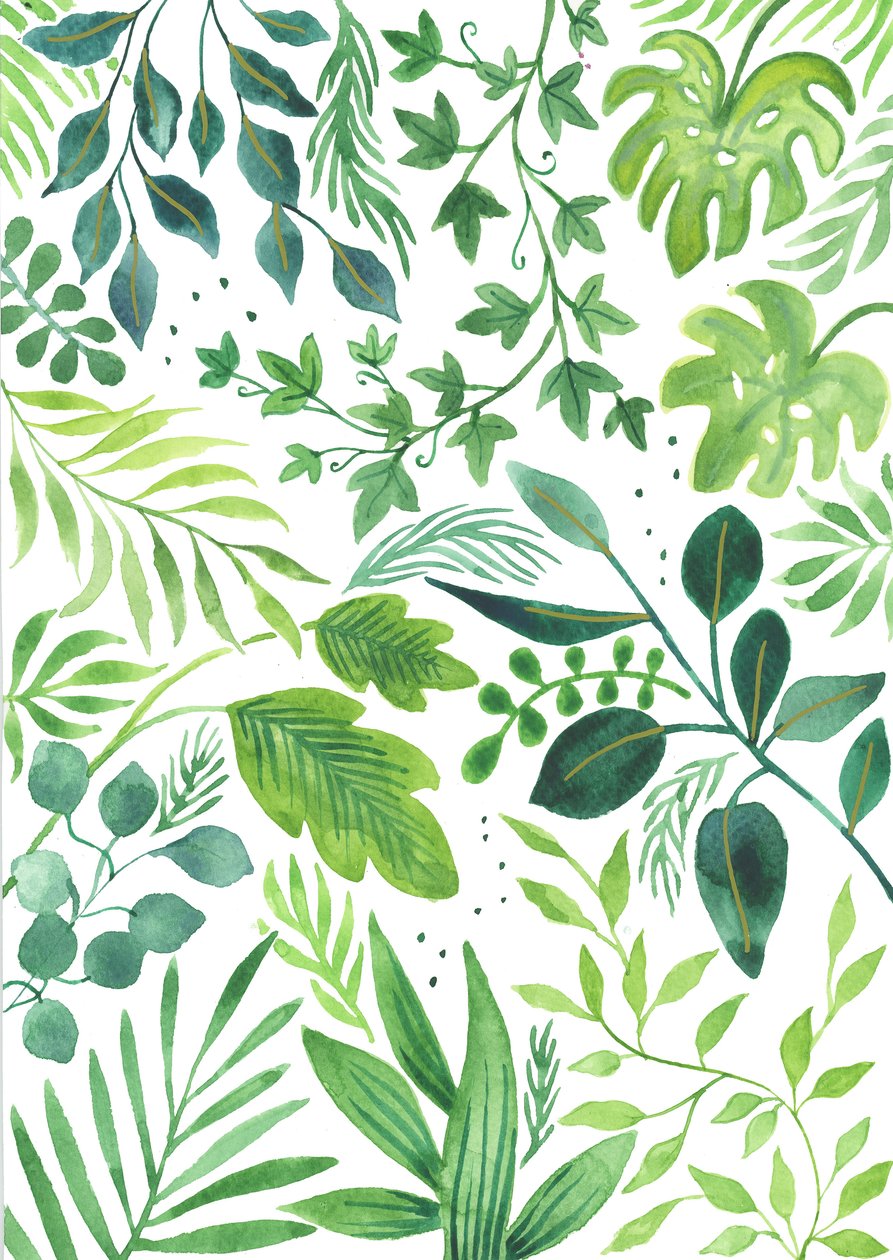 Medalha de folhas, 2018 (aguarela) de Elizabeth Rider