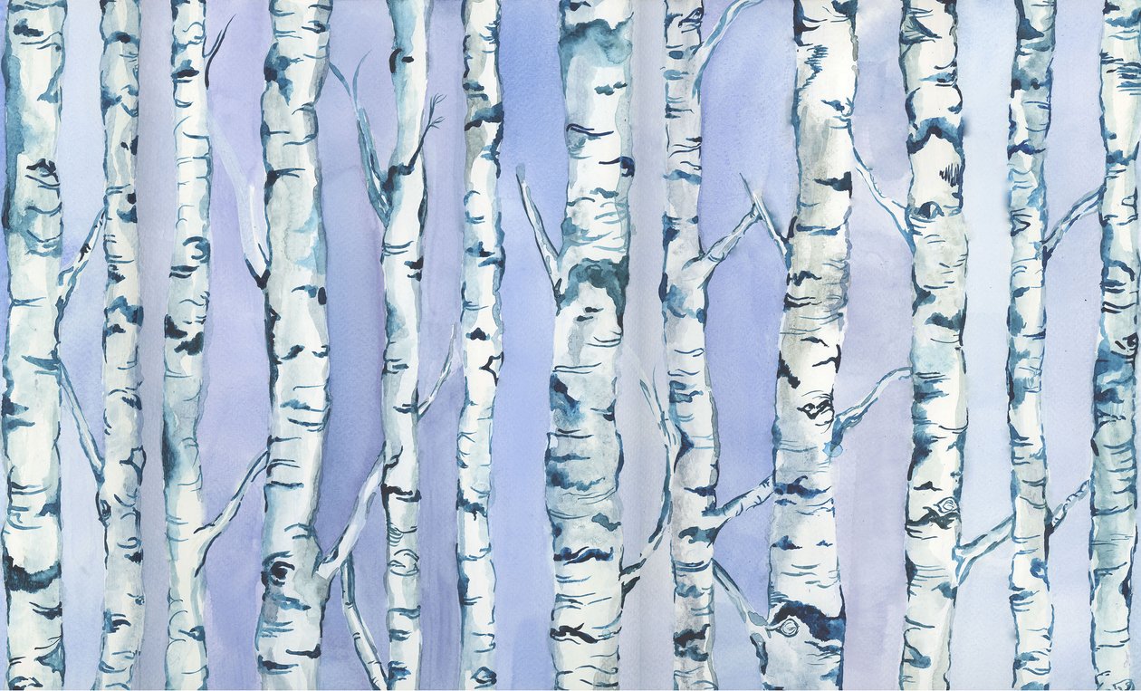 Silverbirch Forest, 2018 (aguarela e acrílico) de Elizabeth Rider