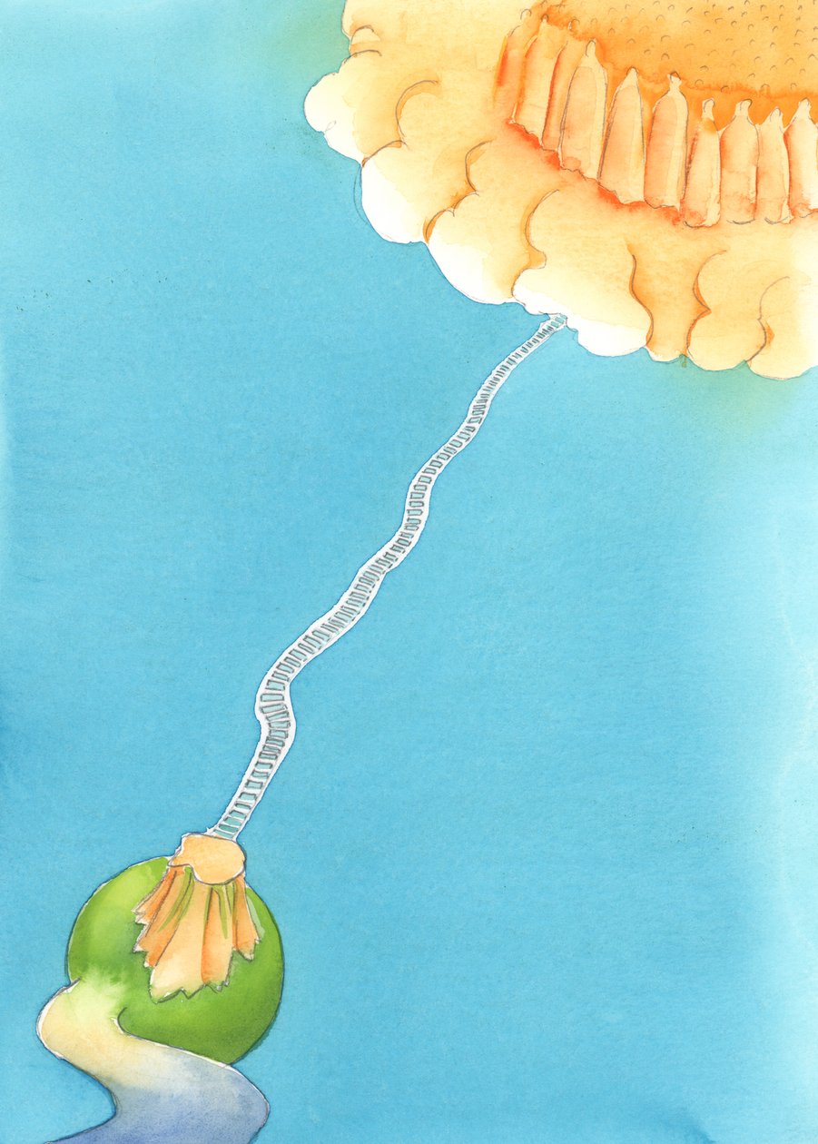 Uma vida de graça na terra é como uma montanha bem iluminada da qual há uma escada para o céu. Sem graça, é fácil vagar pela estrada larga que leva ao Inferno, 2003 (w - c no papel) de Elizabeth Wang