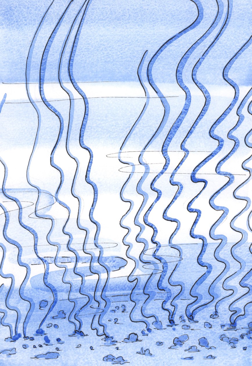 No início da jornada espiritual, a alma se assemelha àquela parte do fundo do oceano que é tornada &39;intransitável&39; por ervas daninhas, 2002 (w - c no papel) de Elizabeth Wang