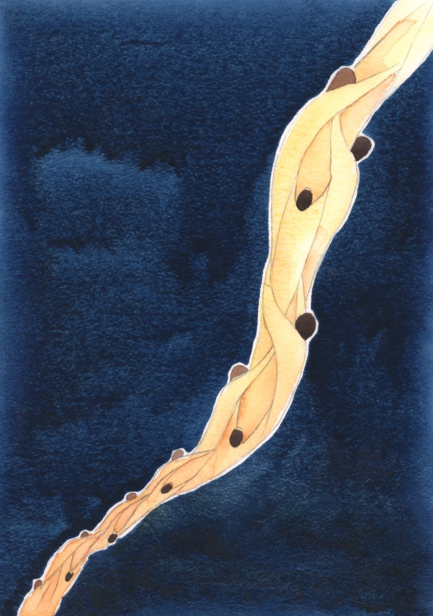 As nossas intercessões pelas Santas Almas do Purgatório, em nome de Jesus, são como uma corda que as puxa para o céu, 2002 (c - c no papel) de Elizabeth Wang