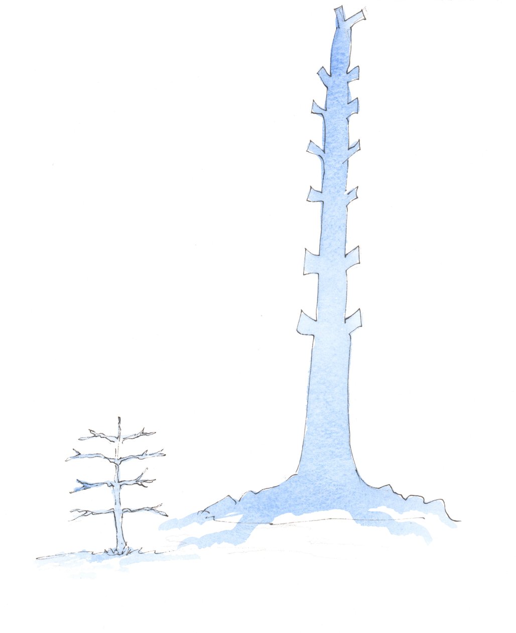 A Igreja cresceu, como um carvalho gigante cresce de uma muda, 2003 (w - c no papel) de Elizabeth Wang