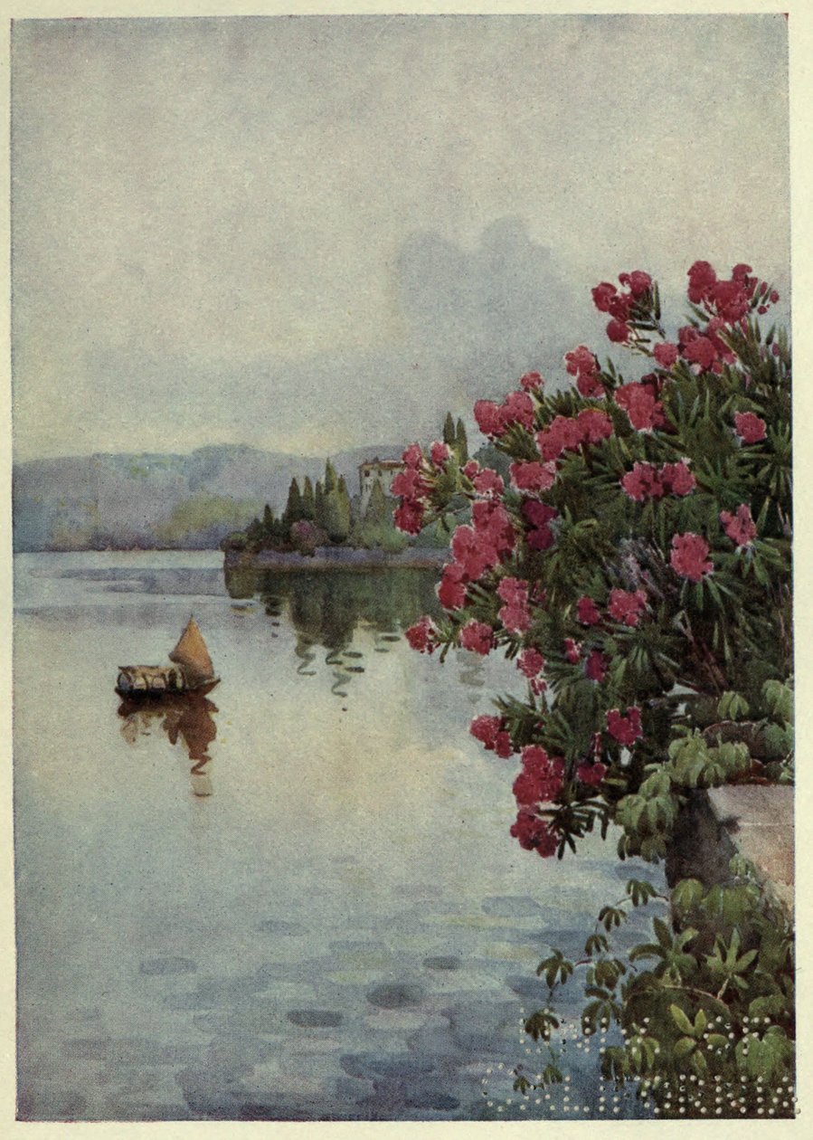 Oleandros, Lago di Como, Ilustração de 