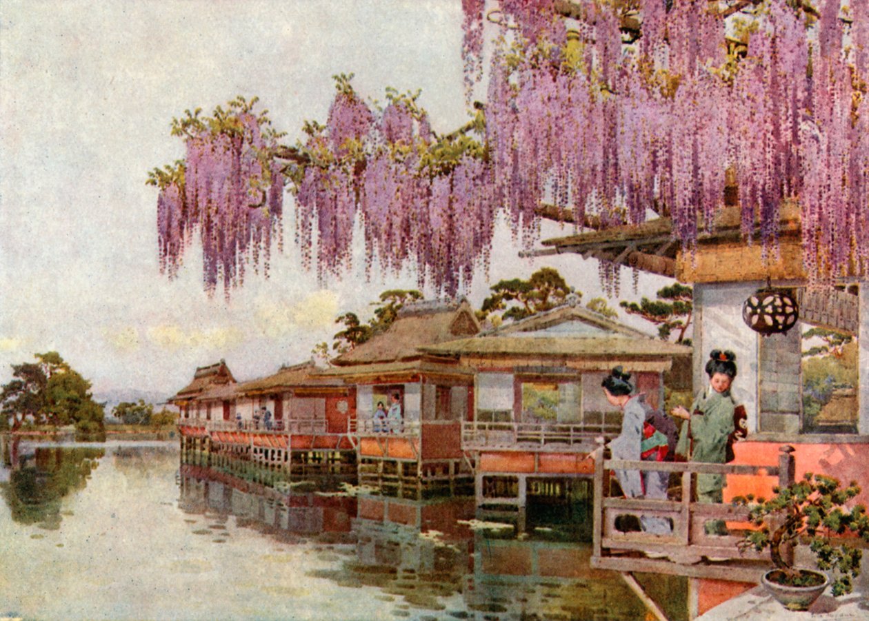 Wistaria, Nagaoka (litografia a cores) de Ella Du Cane