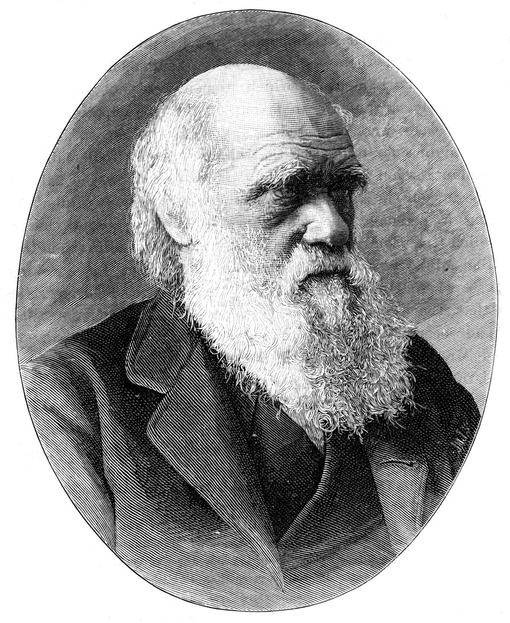 Charles Darwin, naturalista inglês do século XIX, 1900. de Elliott and Fry
