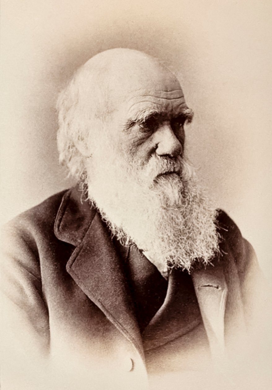 Charles Darwin: naturalista inglês de Elliott und Fry Studio