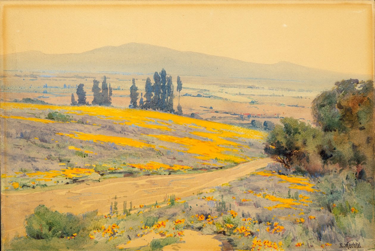 Paisagem de primavera da Califórnia de Elmer Wachtel