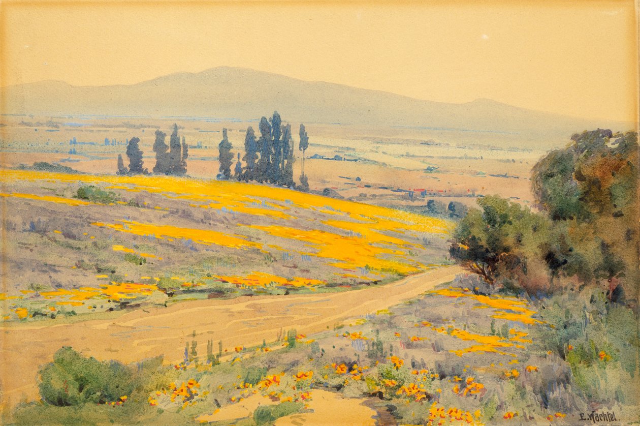 Floresta. de Elmer Wachtel