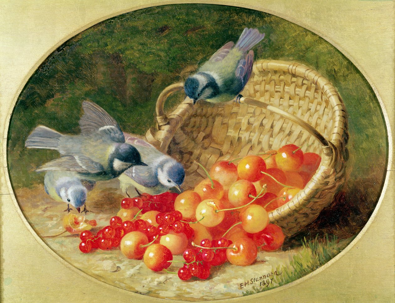 Bluetits bicando cerejas, 1897 de Eloise Harriet Stannard