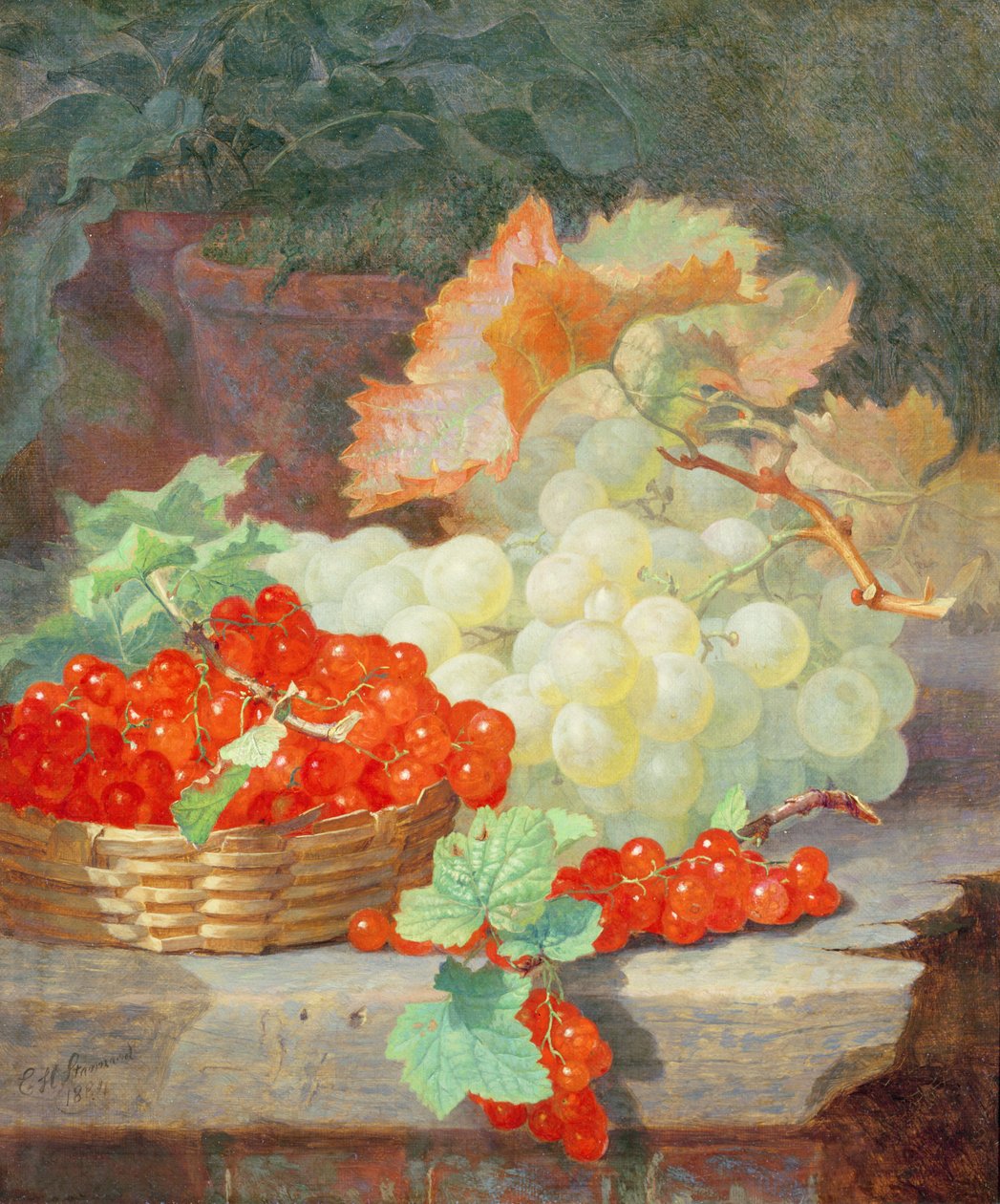 Groselhas e Uvas, 1864 de Eloise Harriet Stannard