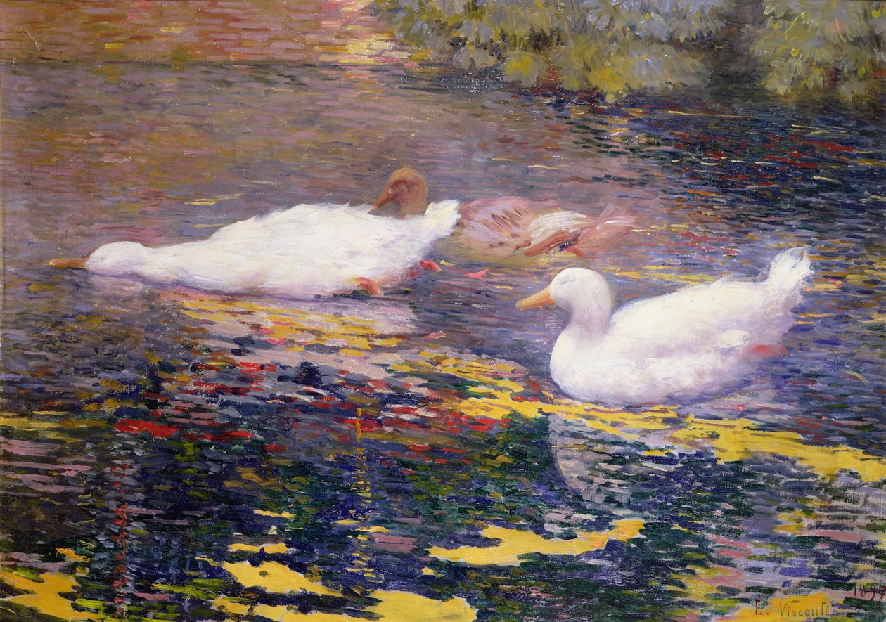 Patos em um rio de Elysee Visconti