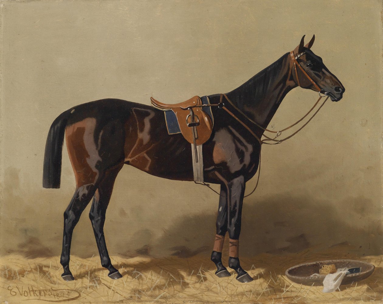Cavalo de esporte selado de Emil Volkers