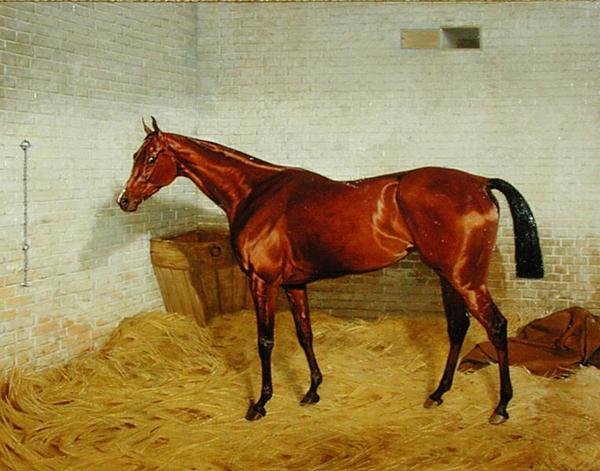 "Solitário", Vencedor do Derby de 1885 de Emil Adam