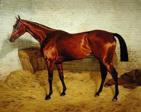 "Solitário", Vencedor do Derby de 1885 de Emil Adam