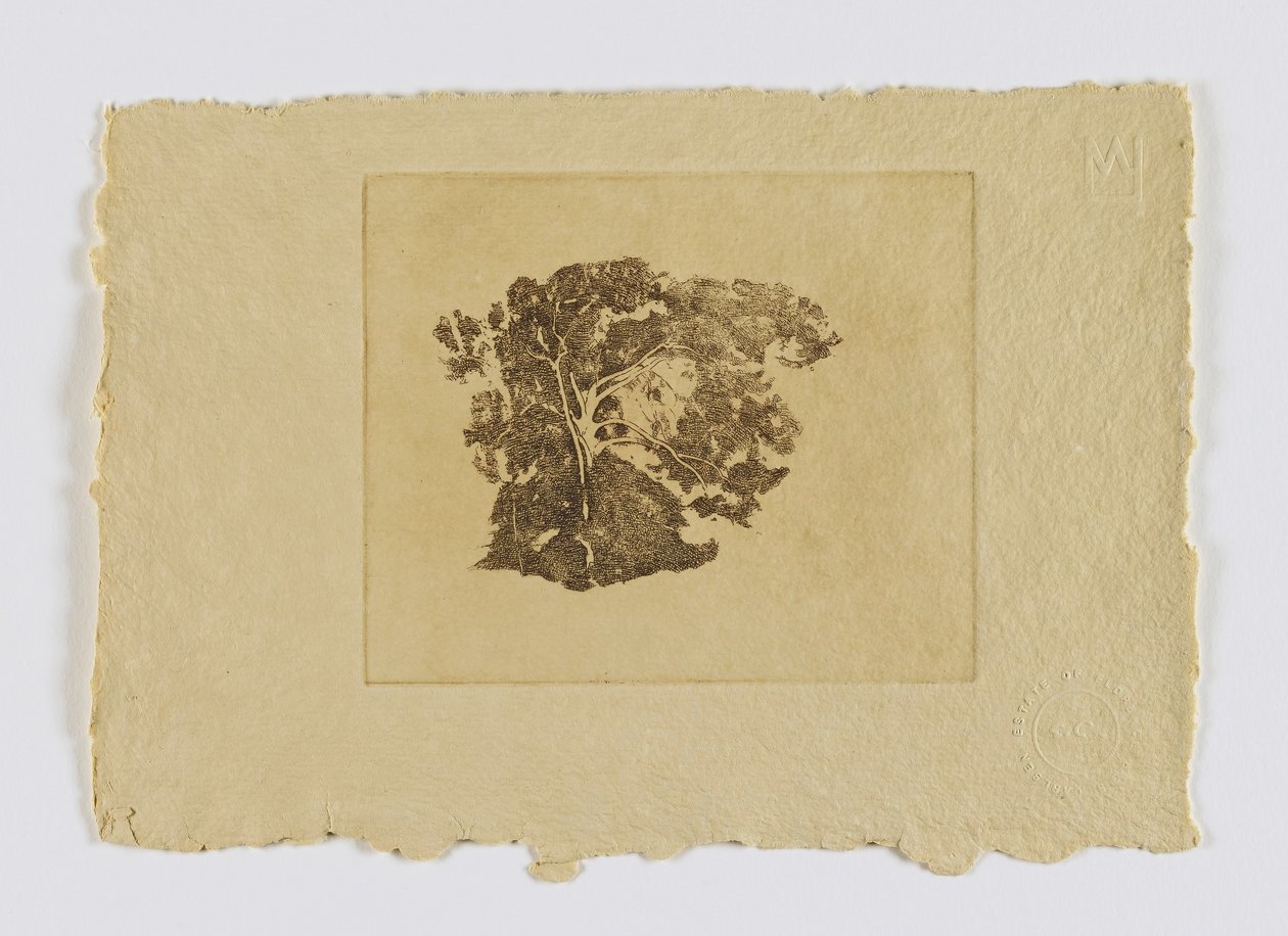 Estudo de árvores (fm. portfolio) de Emil Carlsen