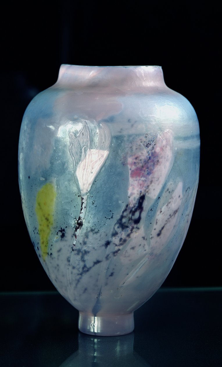 Vaso de cristal, &39;The Night Lights&39;, 1891 (vidro) de Emile Galle